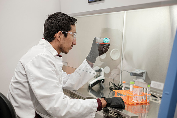 lab-9574
