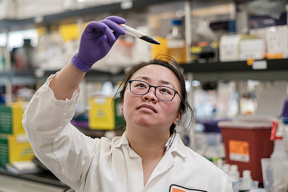 lab-5185