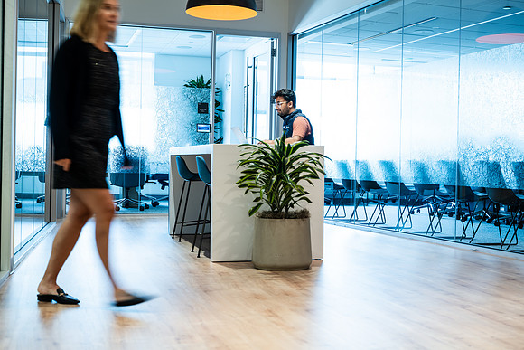 nibs-1050631