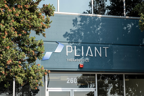 pliant-8567