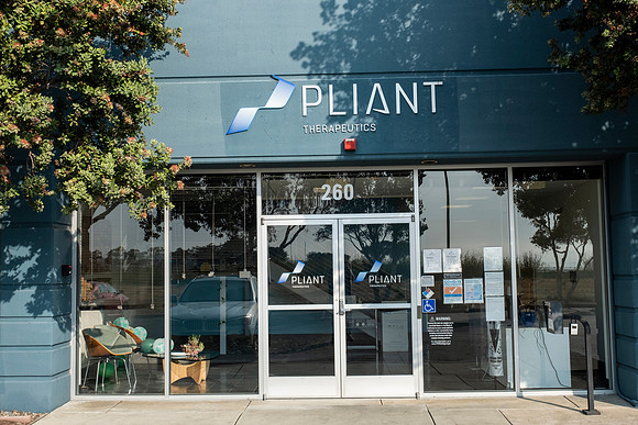 pliant-8559