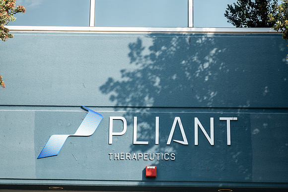 pliant-8557