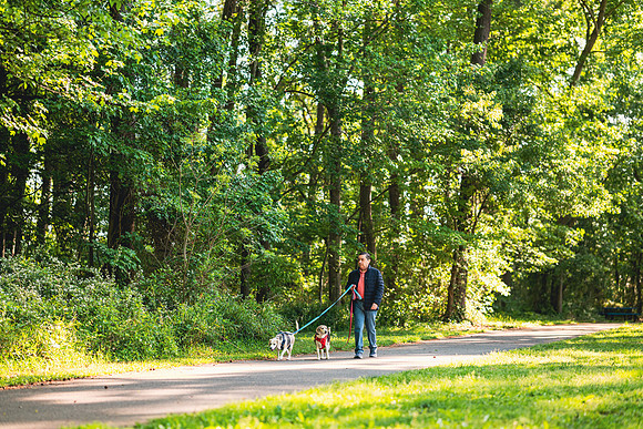 jma-1040132