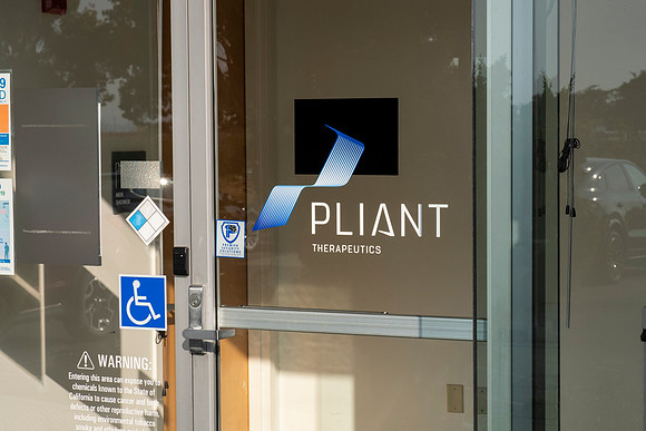 pliant-8574