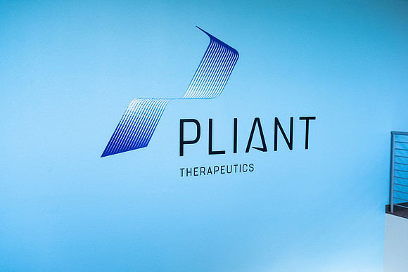 pliant-8513